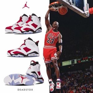 Meet your Posher, Lonzo